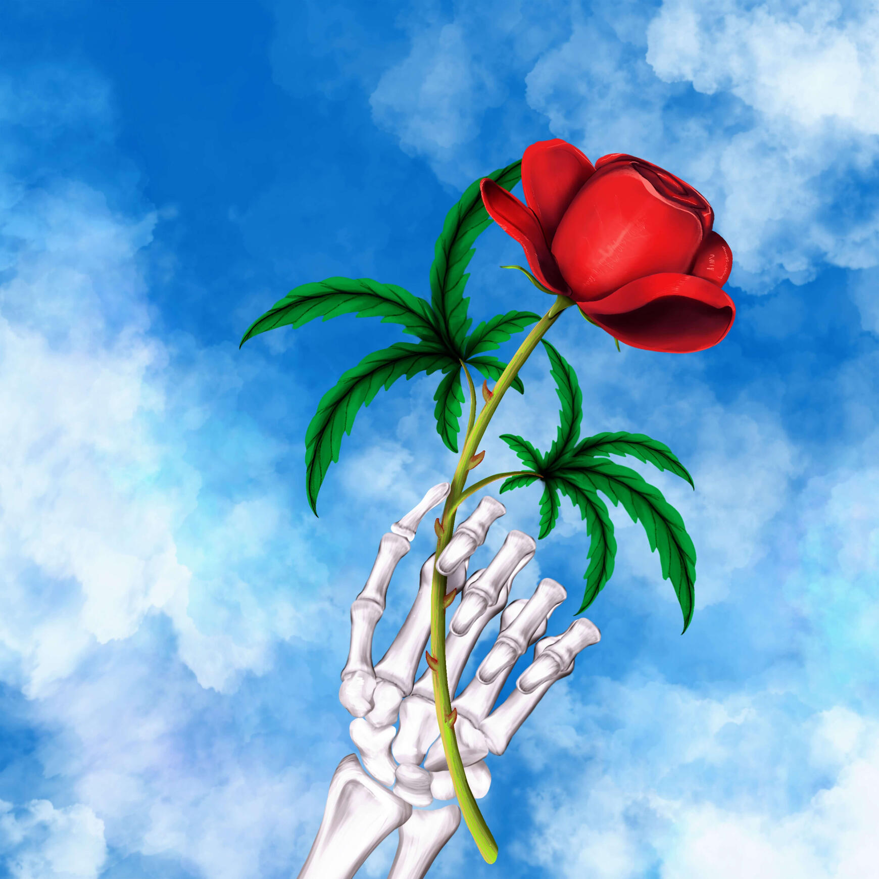Semi-realism style rose Semi-realism style rose