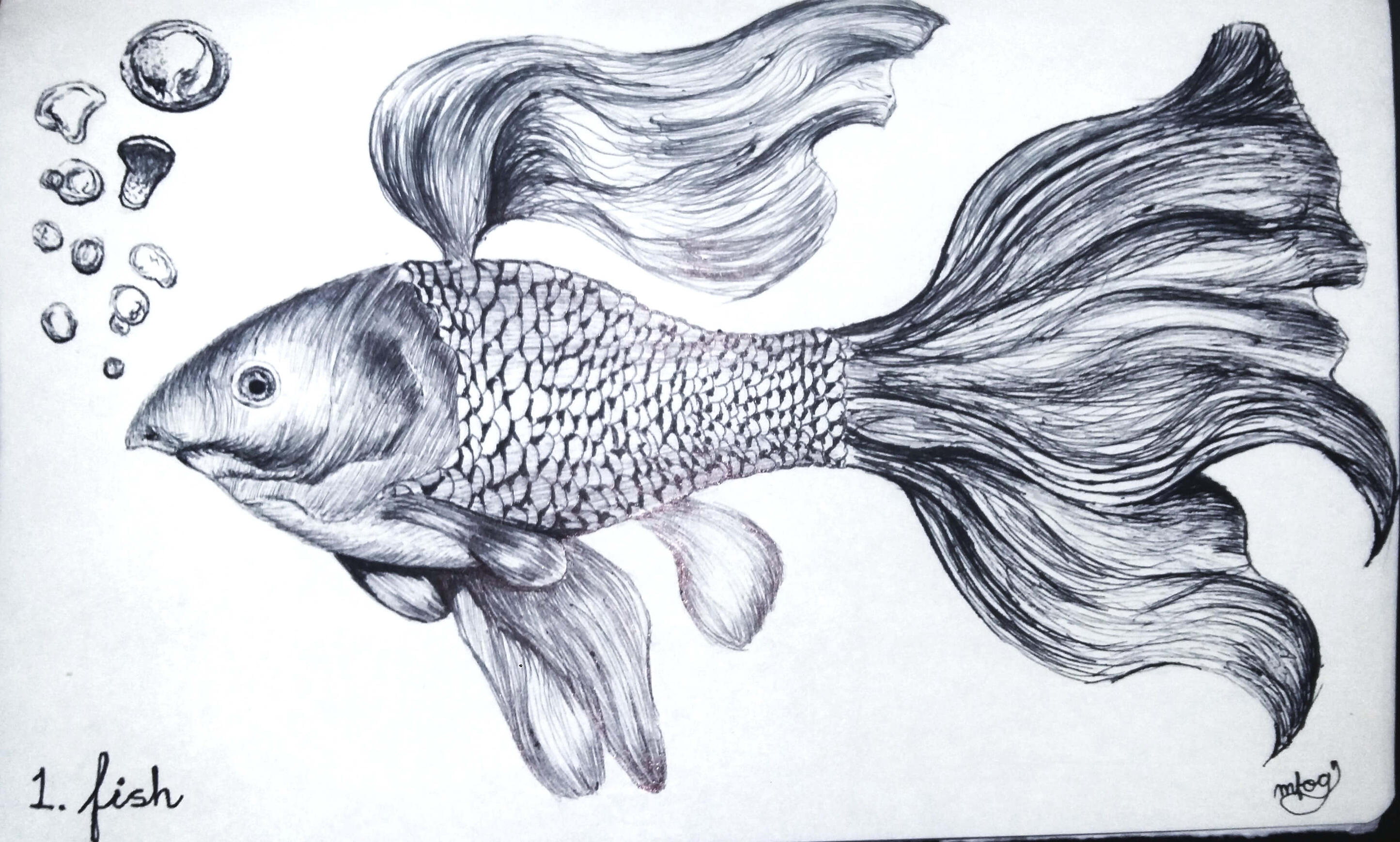 Fish (ink study) Fish (ink study)